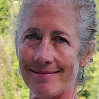 шесвитми Голе